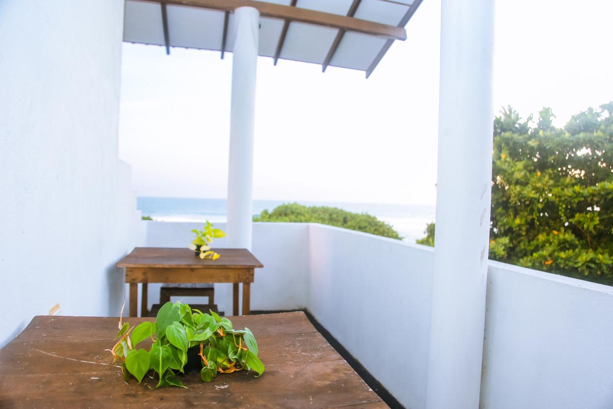 Mirissa Turtle Point Guest Hotel Екстериор снимка