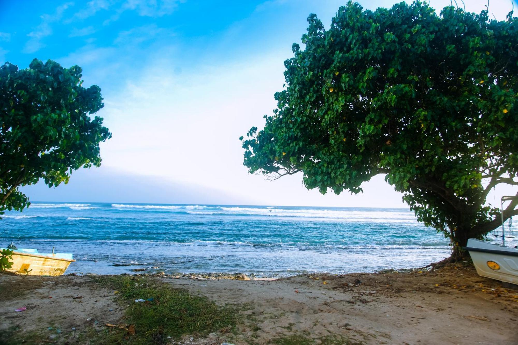 Mirissa Turtle Point Guest Hotel Екстериор снимка