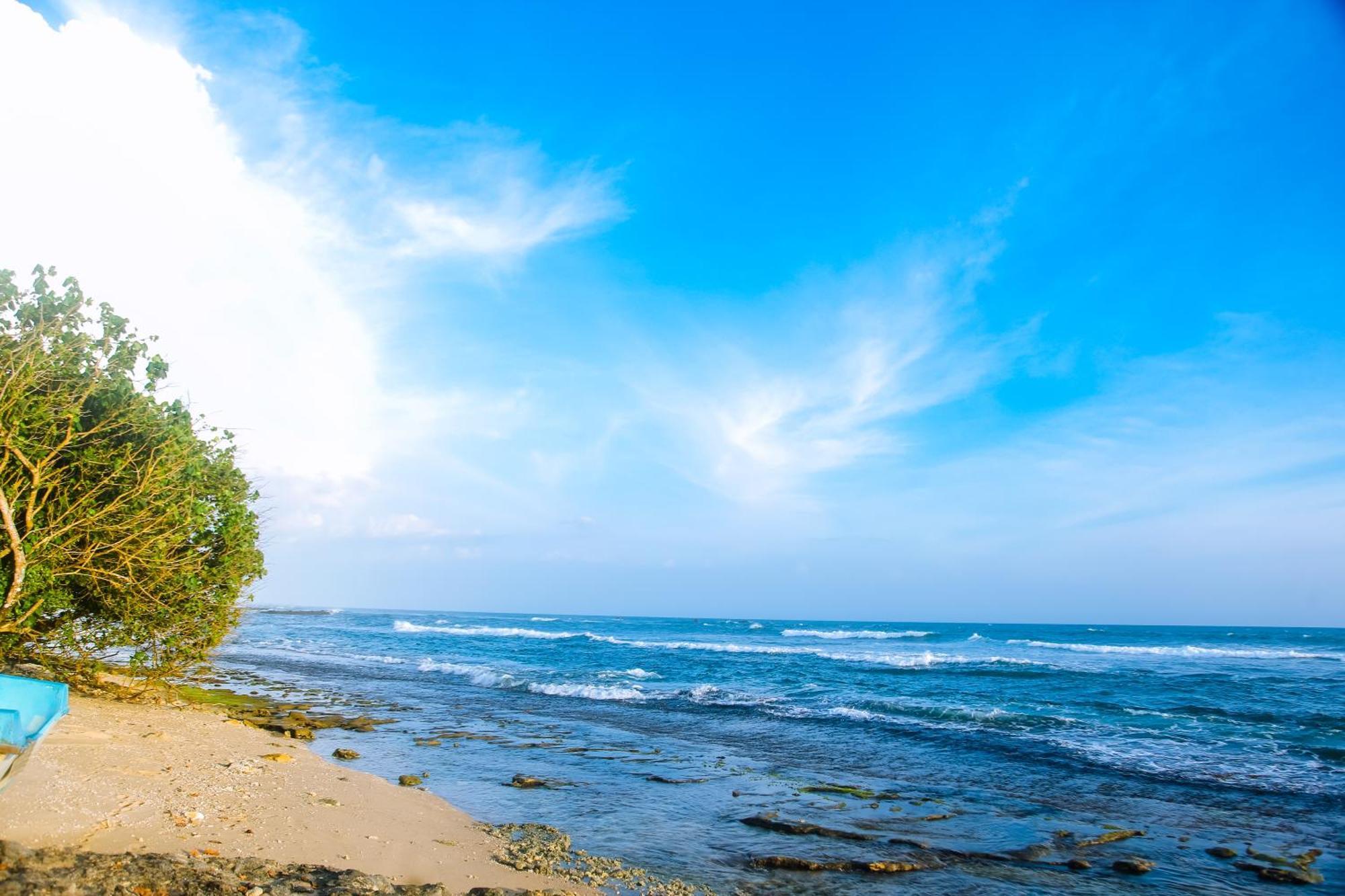 Mirissa Turtle Point Guest Hotel Екстериор снимка